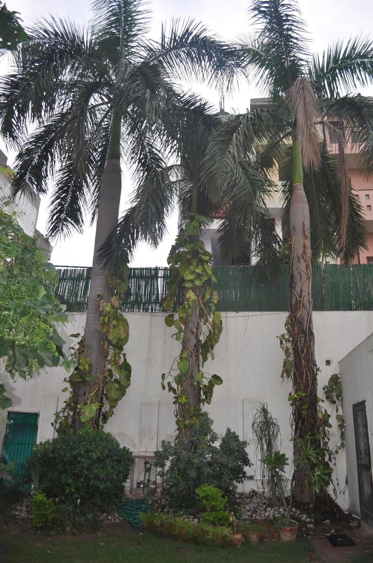 Hotel Kabli Nowe Delhi Zewnętrze zdjęcie