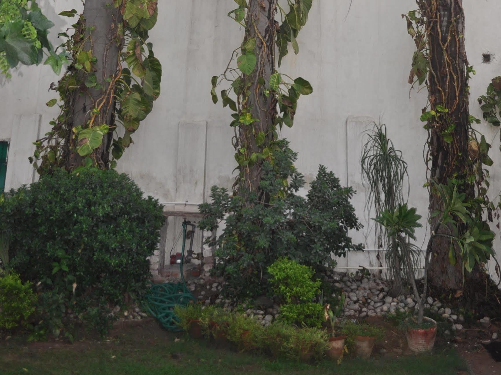 Hotel Kabli Nowe Delhi Zewnętrze zdjęcie